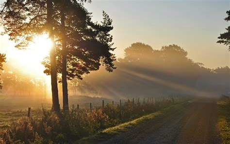 The Watering Place, an evocative landscape depicting rural tranquility and the captivating allure of dappled sunlight!